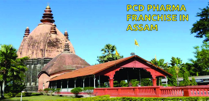 pcd pharma franchise In assam